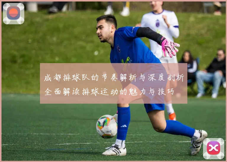 成都排球队的节奏解析与深度剖析全面解读排球运动的魅力与技巧